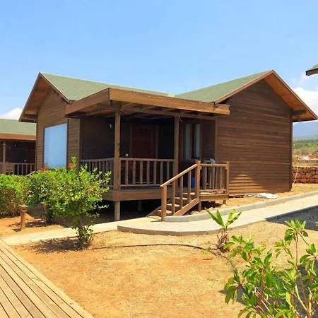 Kucuk Erenkoy Holiday Homes
